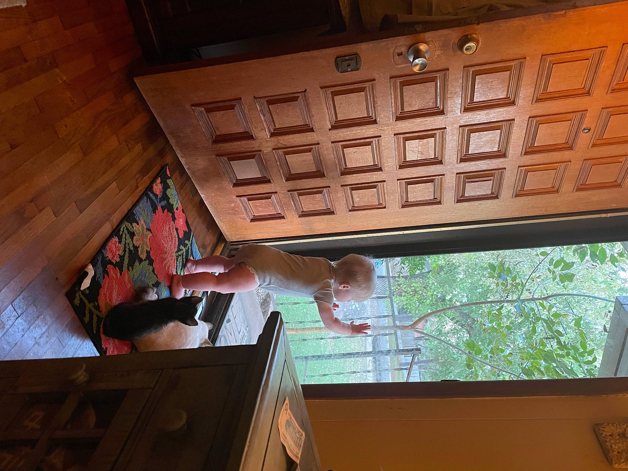 Issabell joined the competition — help win amazing prizes! beam, building, ceiling, daylighting, flooring, fun, glass, hardwood, house, pattern, person, plywood, roof, room, shade, tints_and_shades, tree, varnish, window, wood