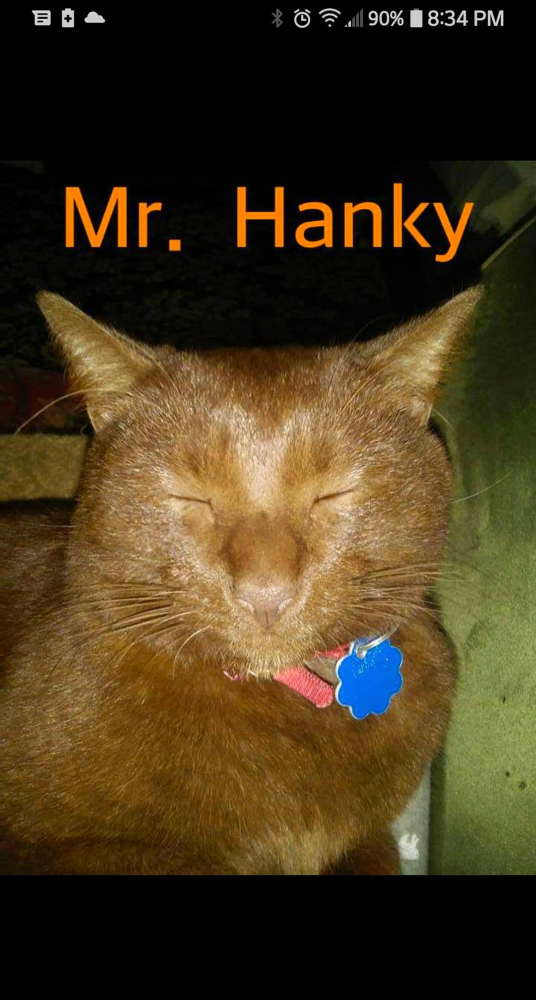 Mr. Hanky