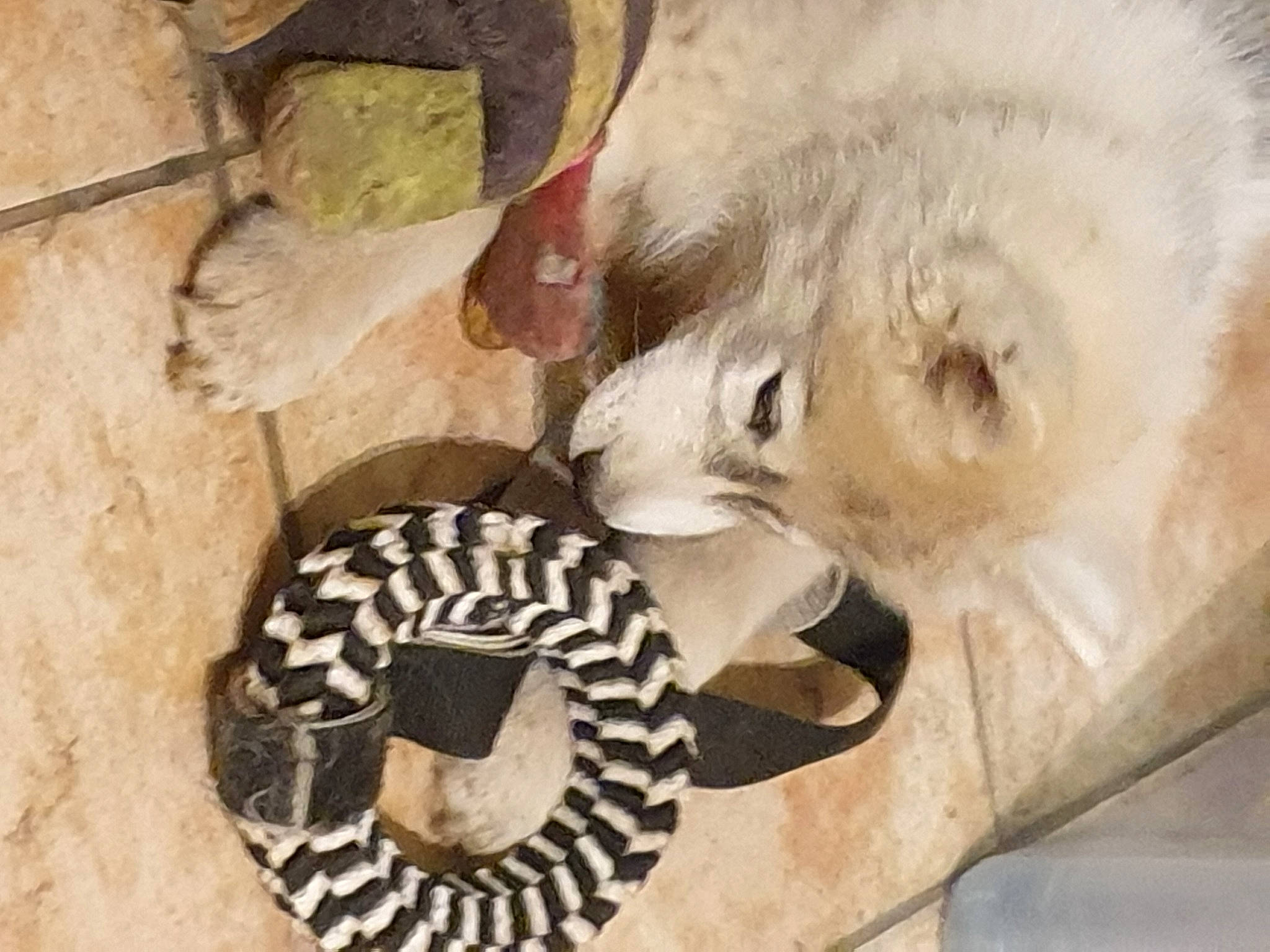 Utopia participe au concours pour gagner de l'argent avec cette photo : art, big_cats, canidae, carnivore, companion_dog, eyelash, fawn, felidae, fur, lion, plant, scaled_reptile, serpent, small_to_medium_sized_cats, snake, tail, terrestrial_animal, tree, whiskers, wildlife