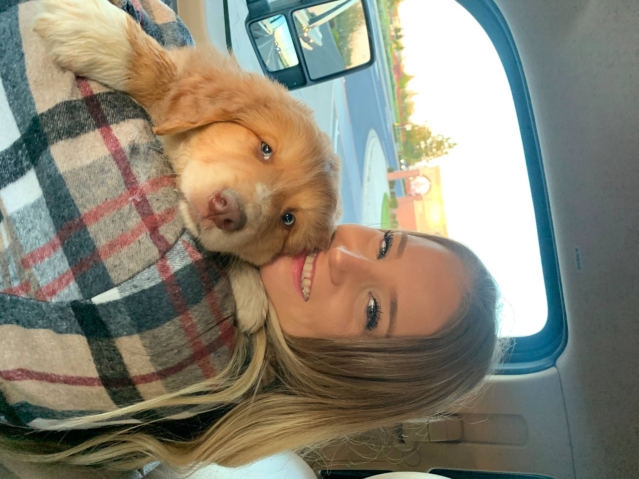 Gucci is registered to the contest to win money with this photo: automotive_exterior, automotive_mirror, carnivore, comfort, companion_dog, dog, dog_breed, family_car, fawn, fun, happy, nose, plaid, skin, smile, snout, tartan, tree, vehicle, vehicle_door