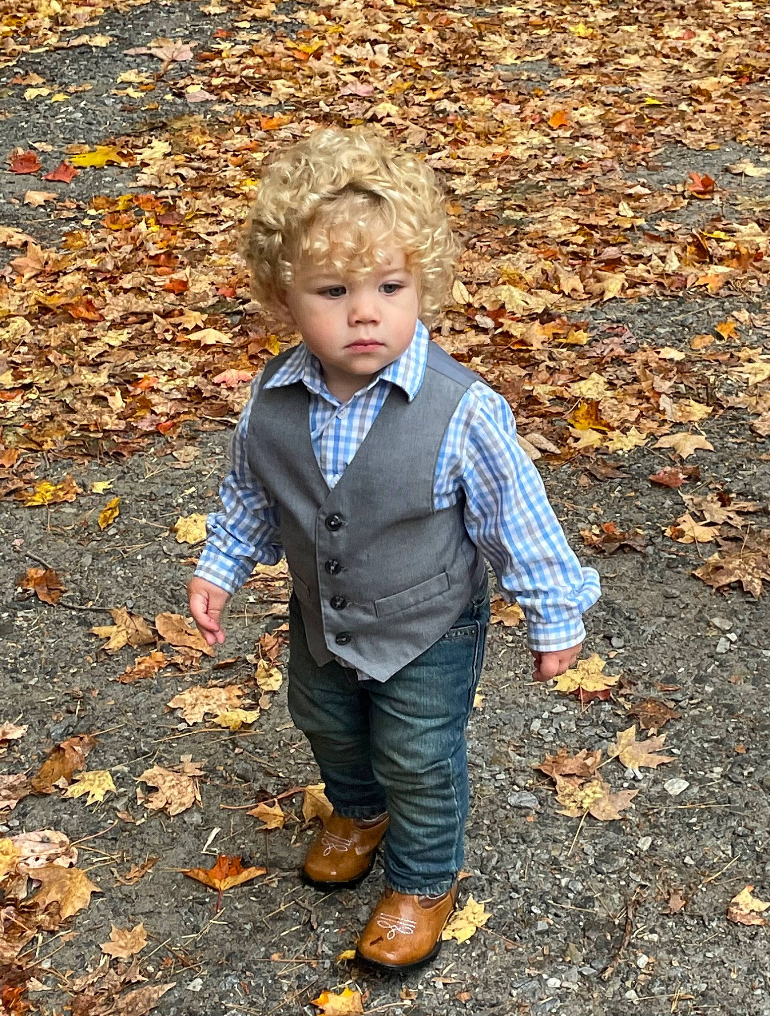 Harry joined the competition — help win amazing prizes! asphalt, autumn, child, cobblestone, deciduous, forest, grass, head, landscape, leaf, people_in_nature, person, road_surface, rock, sitting, soil, toddler, tree, winter, wood