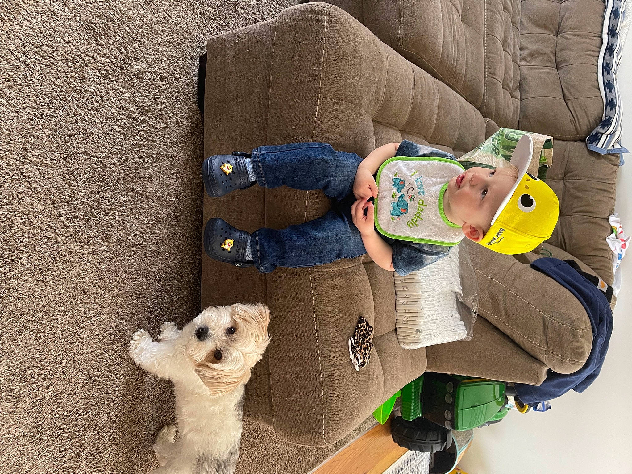 Devin joined the competition — help win amazing prizes! baby_products, baby_toddler_clothing, carnivore, child, comfort, companion_dog, couch, dog, dog_breed, fun, green, headwear, mammal, person, pet_supply, room, sporting_group, stuffed_toy, toddler, toy