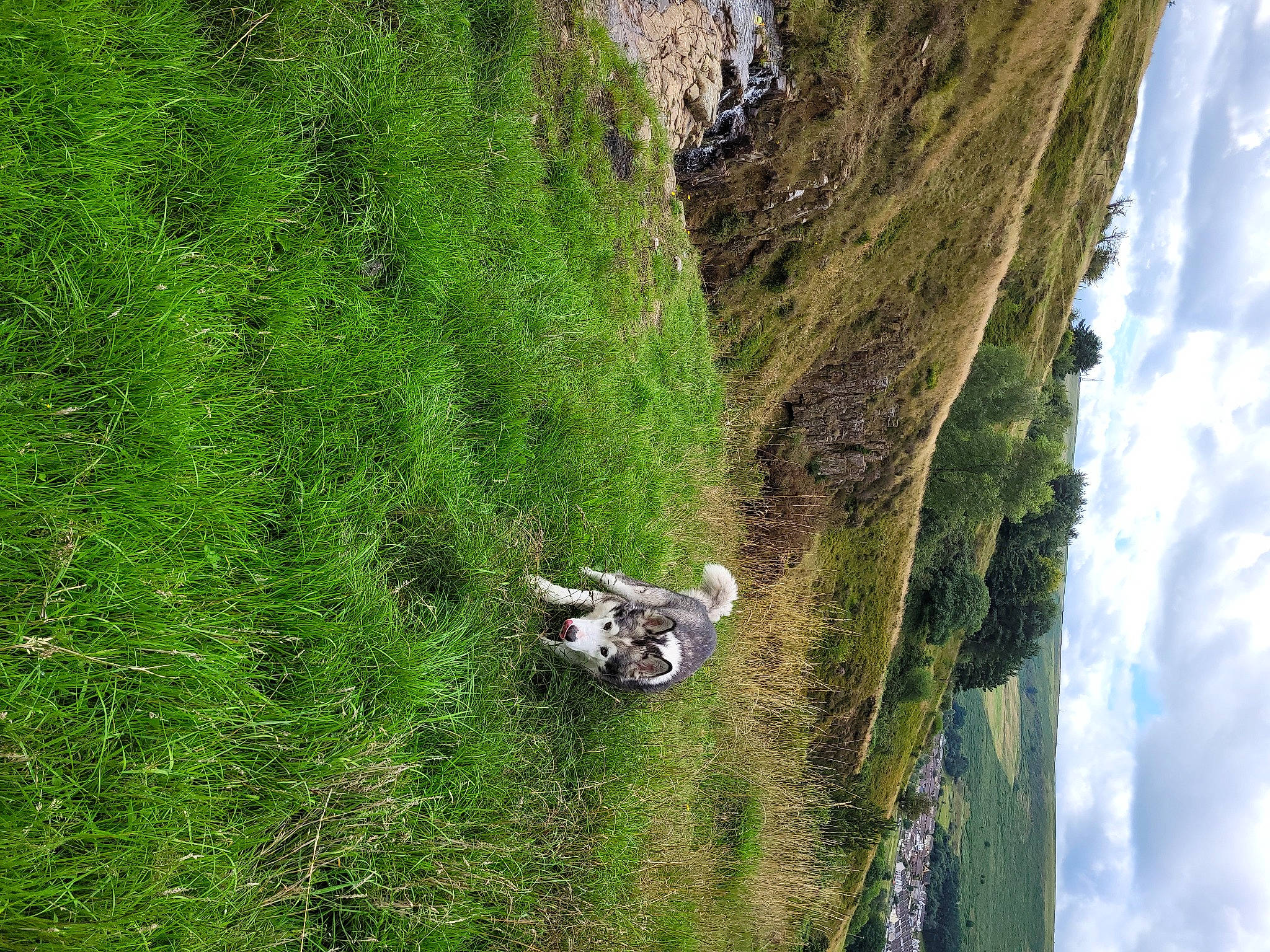 Diesel is registered to the contest to win money with this photo: biome, cloud, extreme_sport, forest, grass, landscape, motorcycle, mountain, plant, recreation, sky, slope, terrain, tire, tree, vegetation, vehicle, watercourse, wheel, wood