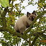 Enza participe au concours pour gagner de l'argent avec cette photo :