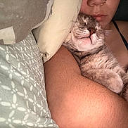 Nyx joined the competition — help win amazing prizes! arm, bed, blanket, cat, close_up, comfort, cozy, cuddle, face, fur, human, indoor, nap, person, pet, pillow, relaxation, resting, sleeping, snuggling