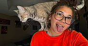 Nyx joined the competition — help win amazing prizes! brown_hair, casual_clothing, cat, couch, curious, decor, eyewear, glasses, indoor, orange_sweatshirt, pet, playful, room, selfie, shoulder, tongue_out, updo_hairstyle, wall_art, woman, young_adult