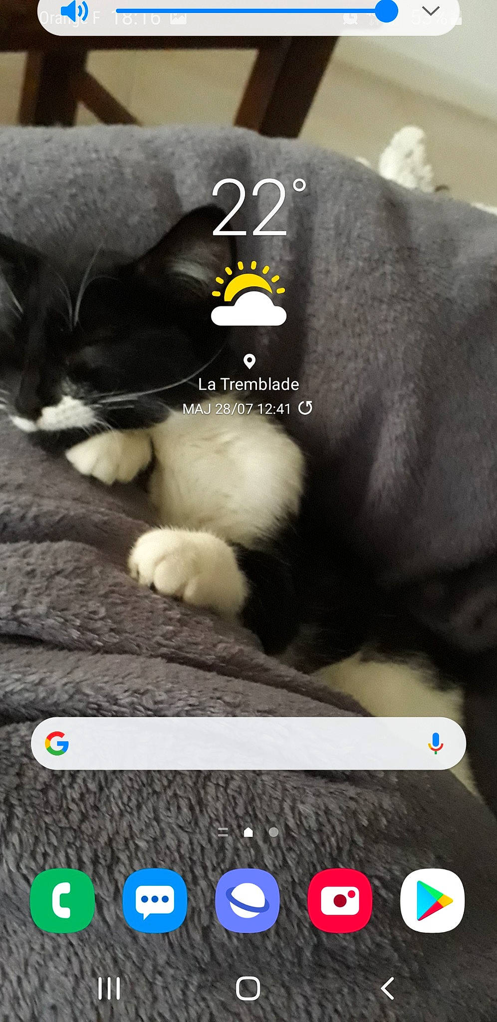 Yuna a rejoint le concours — aidez-le/la à gagner de superbes lots ! carnivore, cat, communication_device, electronic_device, felidae, font, gesture, organism, photograph, product, screenshot, small_to_medium_sized_cats, snapshot, snout, tail, technology, terrestrial_animal, whiskers, white, yellow