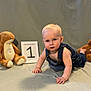 Thomas joined the competition — help win amazing prizes! baby, child, denim_overalls, crawling, plush_bunny, plush_bear, stuffed_toy, first_birthday, number_one, indoor, portrait, cute, blond_hair, blue_eyes, soft_background, floor, smiling, happy, young_child, infant