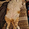 Copper is registered to the contest to win money with this photo: animal, blanket, cat, comfort, cozy, cute, domestic, fluffy, fur, home, indoor, mammal, orange, patterned, pet, pillow, relaxed, resting, sleeping, white