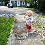 Hudson is registered to the contest to win money with this photo: child, curly_hair, running, sidewalk, cat, orange_cat, tshirt, red_shorts, sneakers, suburban, house, car, grass, trees, daylight, outdoor, joyful, playful, concrete, nature