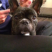 Jenny Grini a rejoint le concours — aidez-le/la à gagner de superbes lots !