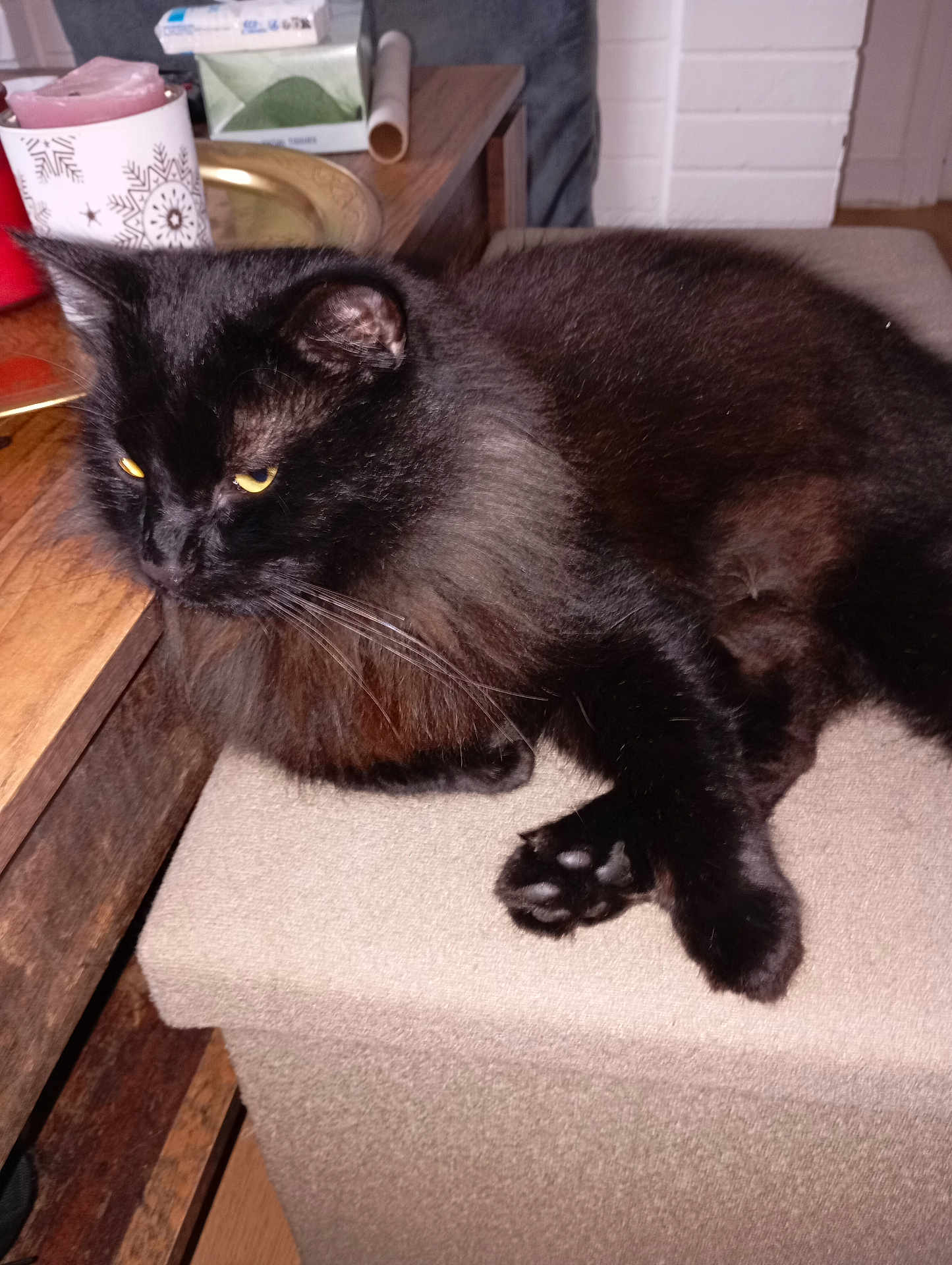 Oscar a rejoint le concours — aidez-le/la à gagner de superbes lots ! black_cat, cat, feline, pet, animal, indoor, resting, yellow_eyes, fluffy, fur, ottoman, table, candle, wooden_furniture, cozy, domestic, relaxed, whiskers, paws, side_view