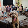 dog, pet, portrait, family, group, people, living_room, sofa, leather, christmas_tree, holiday, presents, indoors, party, tongue, smiling, vintage_gas_pump, decorations, home, photography