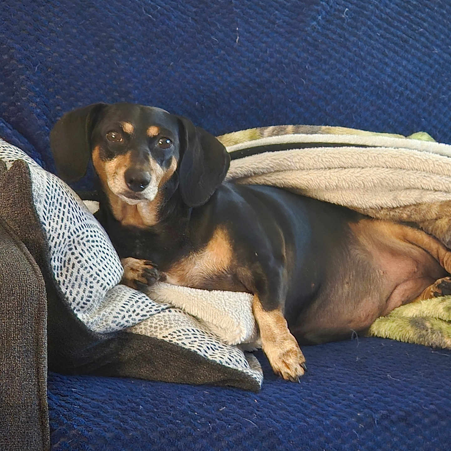 Ellie