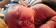 Willow is registered to the contest to win money with this photo: animal, baby, blanket, bodypart, canine, dog, face, finger, hand, head, newborn, person, pet, photography, portrait, quilt, sleeping, towel