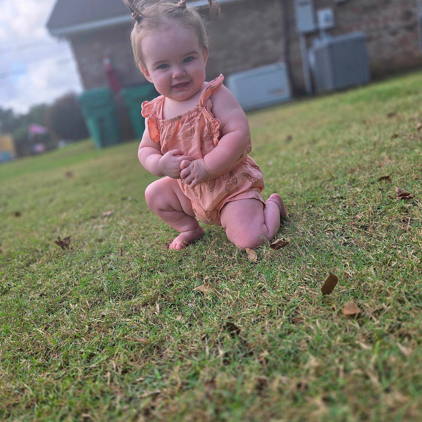 Ridley joined the competition — help win amazing prizes! backyard, child, clothing, dress, face, female, field, girl, grass, grassland, head, lawn, nature, outdoors, person, photography, plant, portrait, sitting, yard