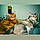 Muse Et Fisher