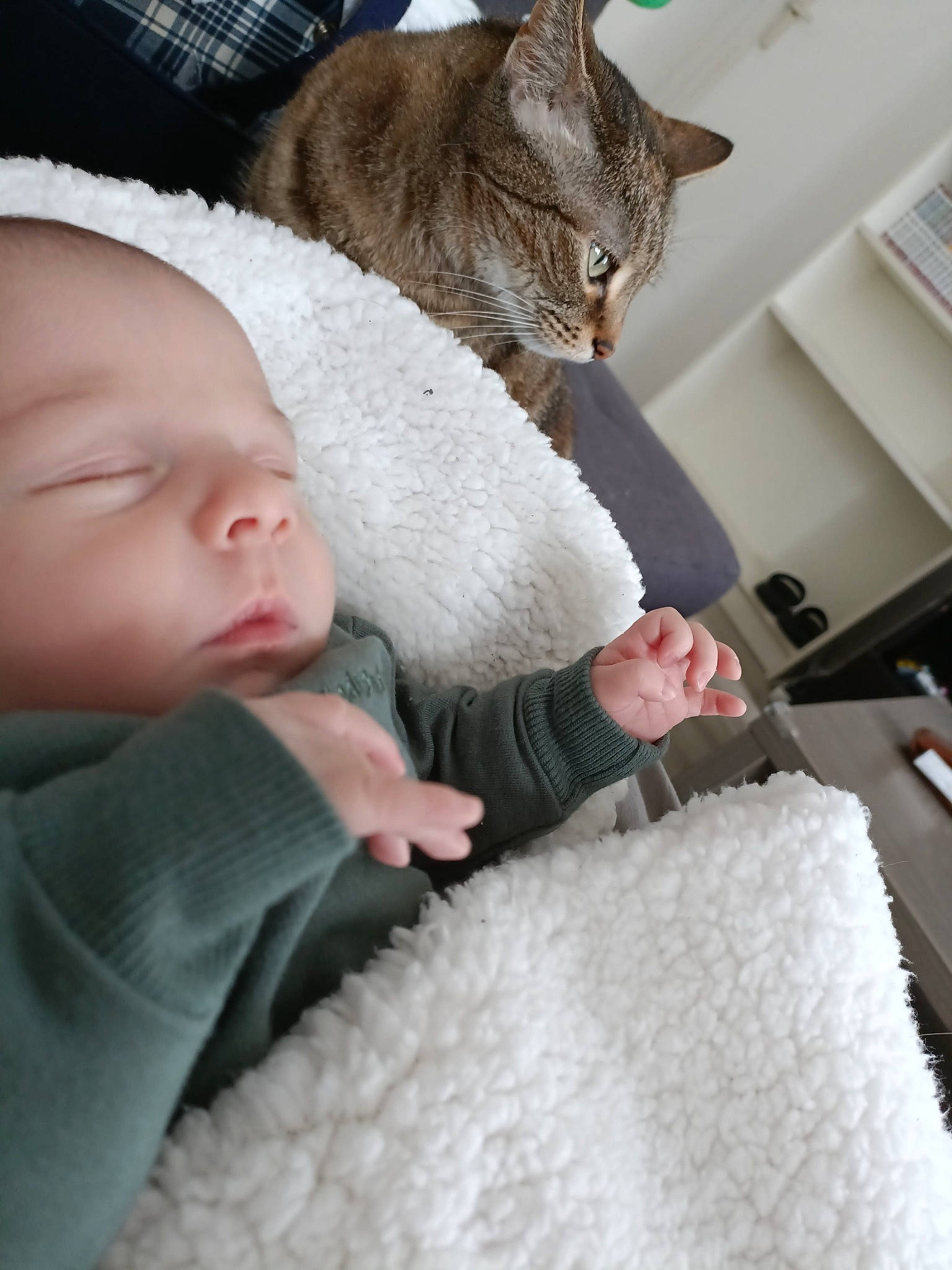 Jack participe au concours pour gagner de l'argent avec cette photo : baby, carnivore, cat, child, comfort, domestic_short_haired_cat, eye, felidae, flooring, fur, gesture, linens, mammal, nose, person, skin, small_to_medium_sized_cats, toddler, whiskers, wool