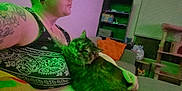 The Other One is registered to the contest to win money with this photo: black_tank_top, cat, cat_tree, couch, glasses, green_light, home, indoor, living_room, orange_pillow, person, pet, pillow, relaxed, remote_control, shelf, short_hair, tattoo, tattooed_arm, window