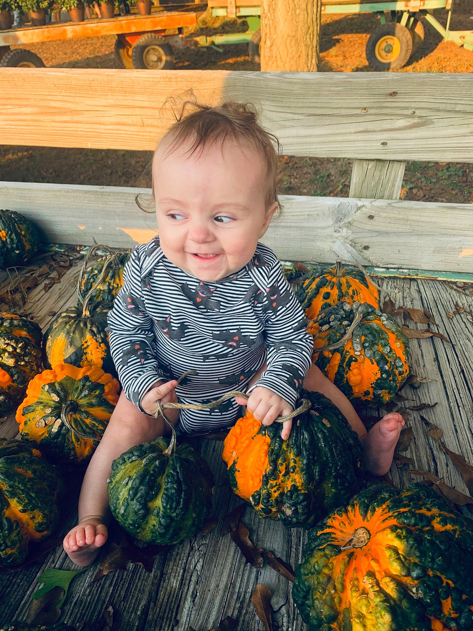 Nevaeh joined the competition — help win amazing prizes! baby, baby_toddler_clothing, dress, eye, grass, happy, iris, leaf, orange, organ, people_in_nature, person, plant, pumpkin, smile, tire, toddler, truck, wheel, wood