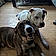Mac And Merl