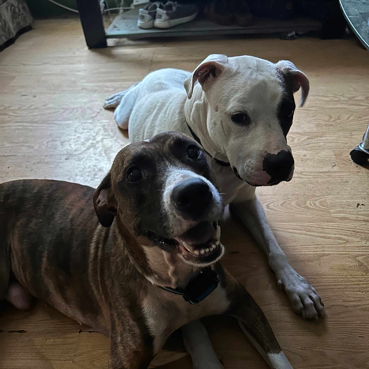 Mac And Merl