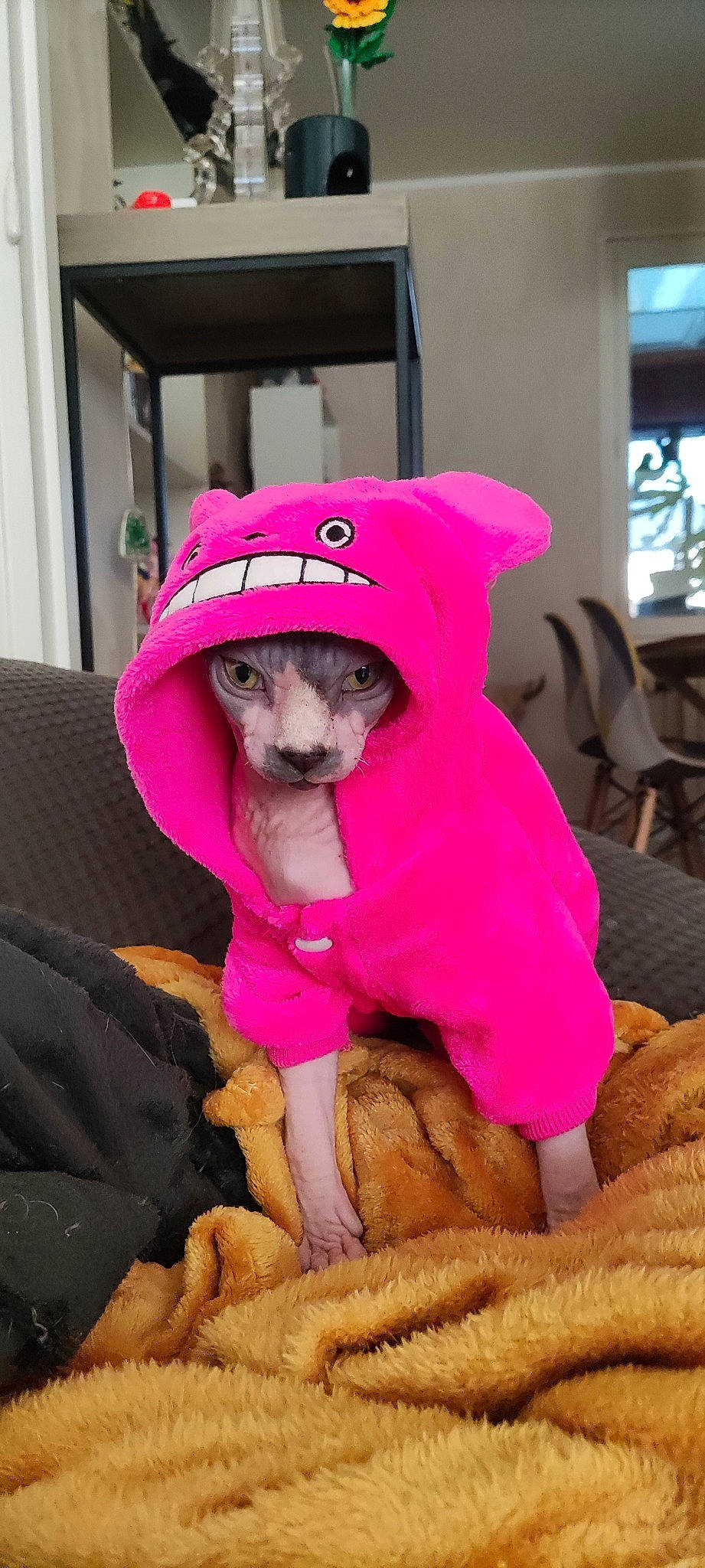 Tobyscuit participe au concours pour gagner de l'argent avec cette photo : canidae, carnivore, comfort, companion_dog, dog, dog_breed, dog_clothes, dog_supply, fawn, fur, headgear, magenta, pet_supply, pink, purple, snout, sporting_group, stuffed_toy, toy_dog, working_animal