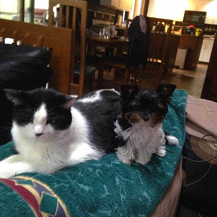 Snoppy joined the competition — help win amazing prizes!