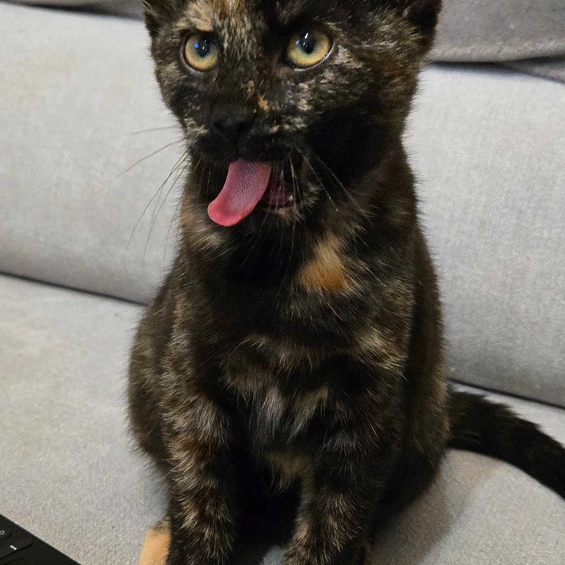 Bella
