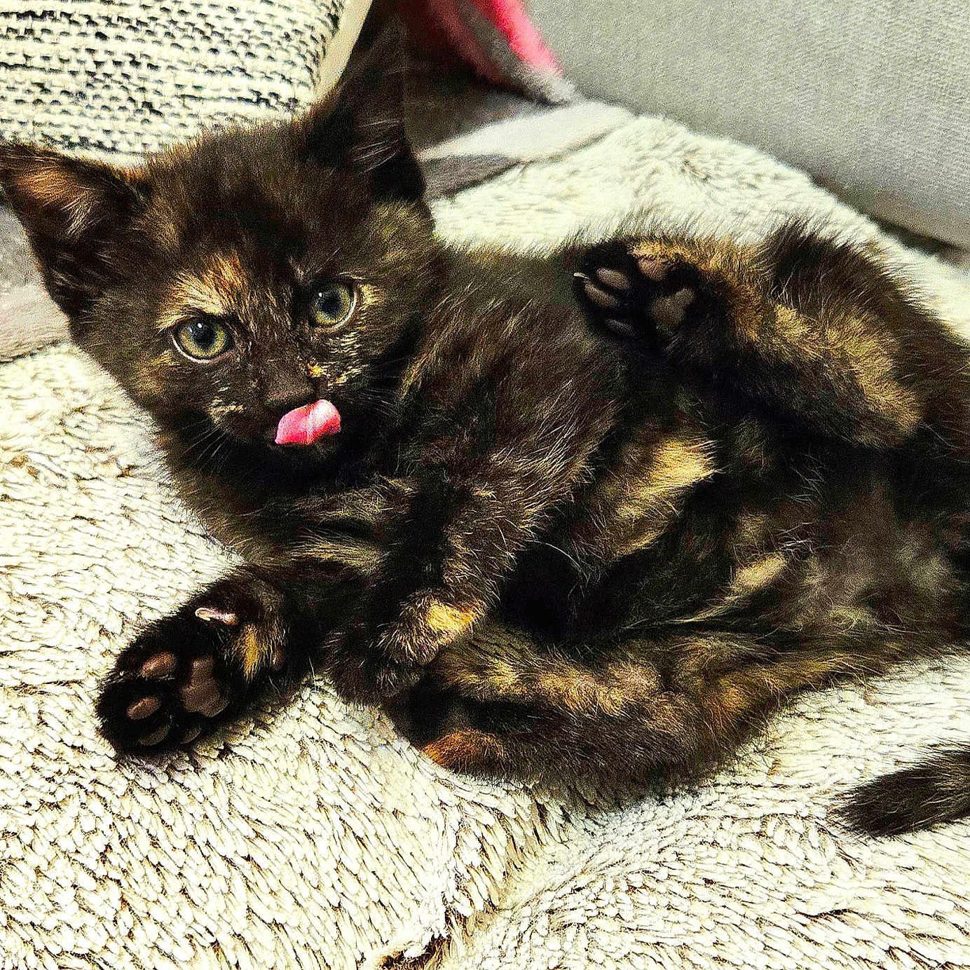Luna