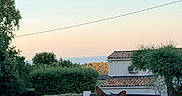 Lewis a rejoint le concours — aidez-le/la à gagner de superbes lots ! cat, tabby, feline, animal, pet, portrait, outdoor, balcony, railing, sunset, sky, palm_tree, hedges, garden, house, roof, architecture, landscape, serene, sitting