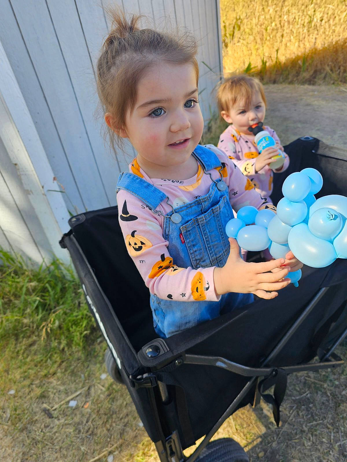 Persephone is registered to the contest to win money with this photo: baby, baby_products, baby_toddler_clothing, chair, child, electric_blue, face, fun, grass, happy, human_body, leisure, people_in_nature, person, personal_protective_equipment, plant, recreation, sitting, toddler, toy