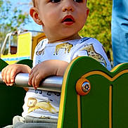 Osian participe au concours pour gagner de l'argent avec cette photo : toddler, child, playground, outdoor, daylight, metal_bar, green, shirt, animal_print, giraffe, lion, curious, hands, clothing, park, person, short_hair, casual, seat, nature