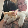 cat, sleeping, kitten, tattoo, person, glasses, arm, indoor, closeup, resting, pet, cute, feline, comfort, human, face, chair, window, casual, relaxation