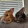 cat, kitten, orange_cat, gray_cat, resting, close_up, indoor, feline, pet, cute, soft_texture, window_blinds, whiskers, ears, sleepy, animal, fur, companion, domestic_animal, relaxing