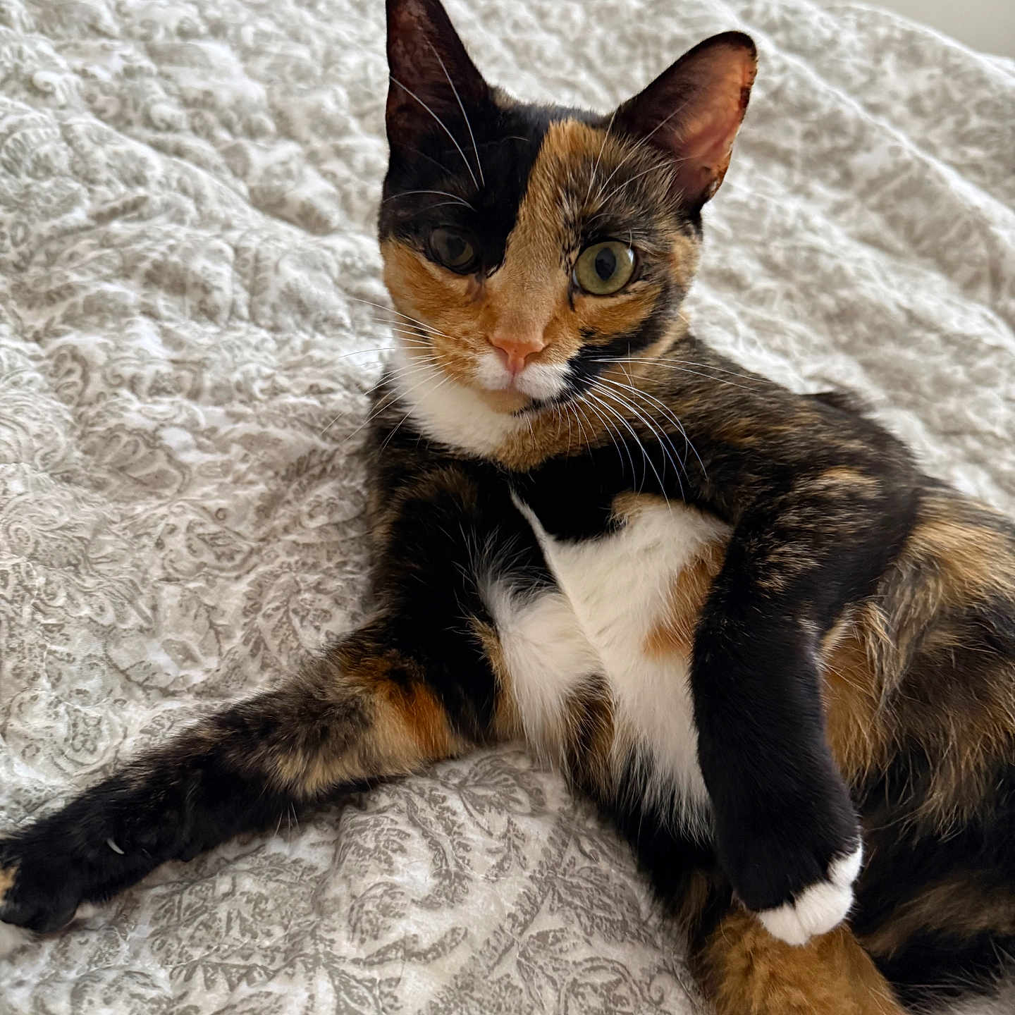 Chloe
