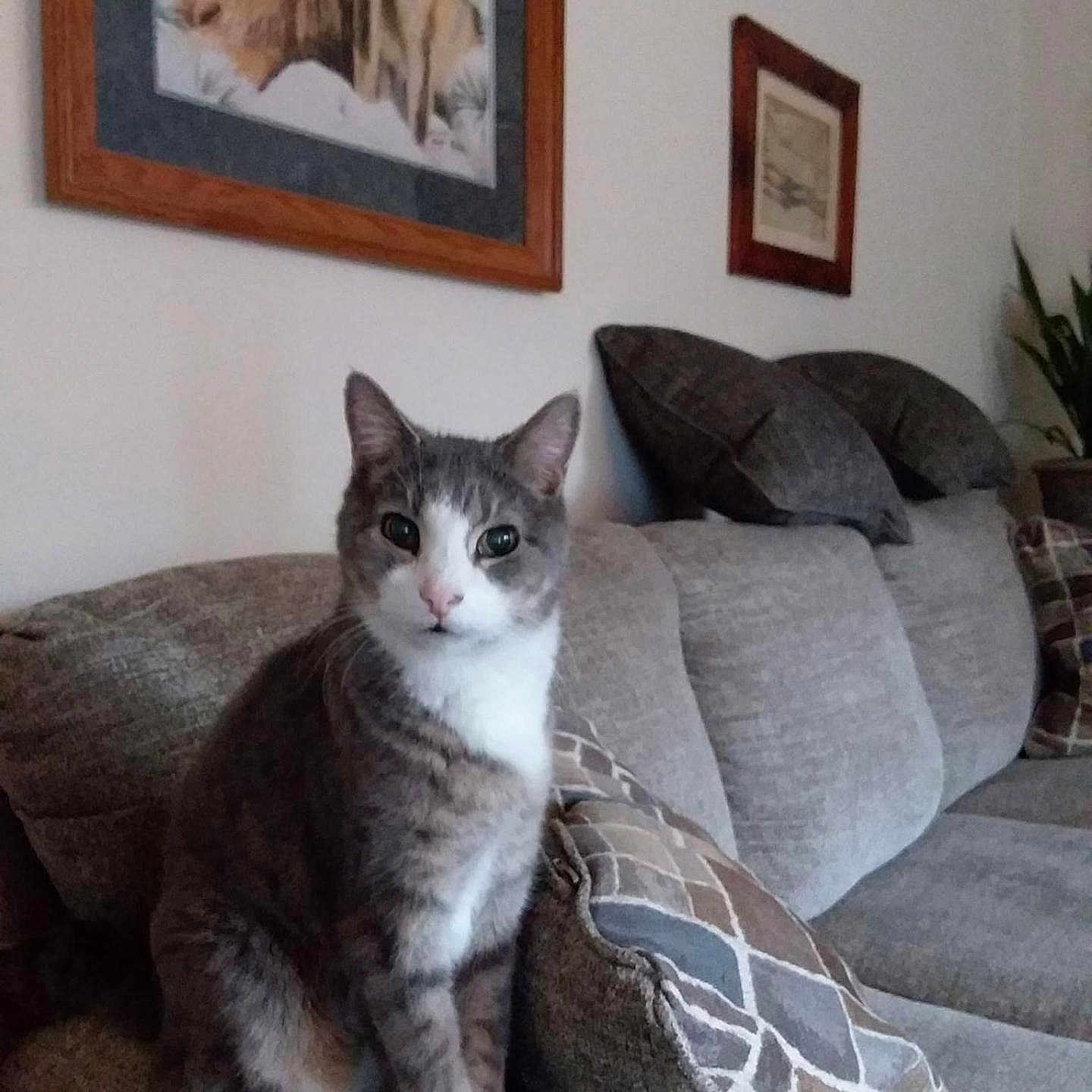 Sammy