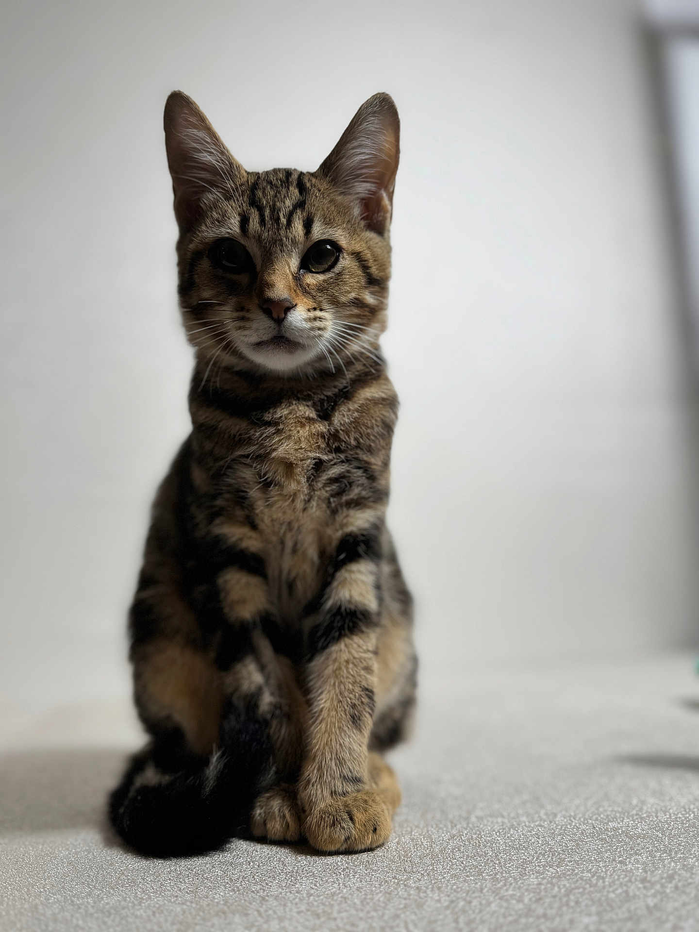 Kit Kat