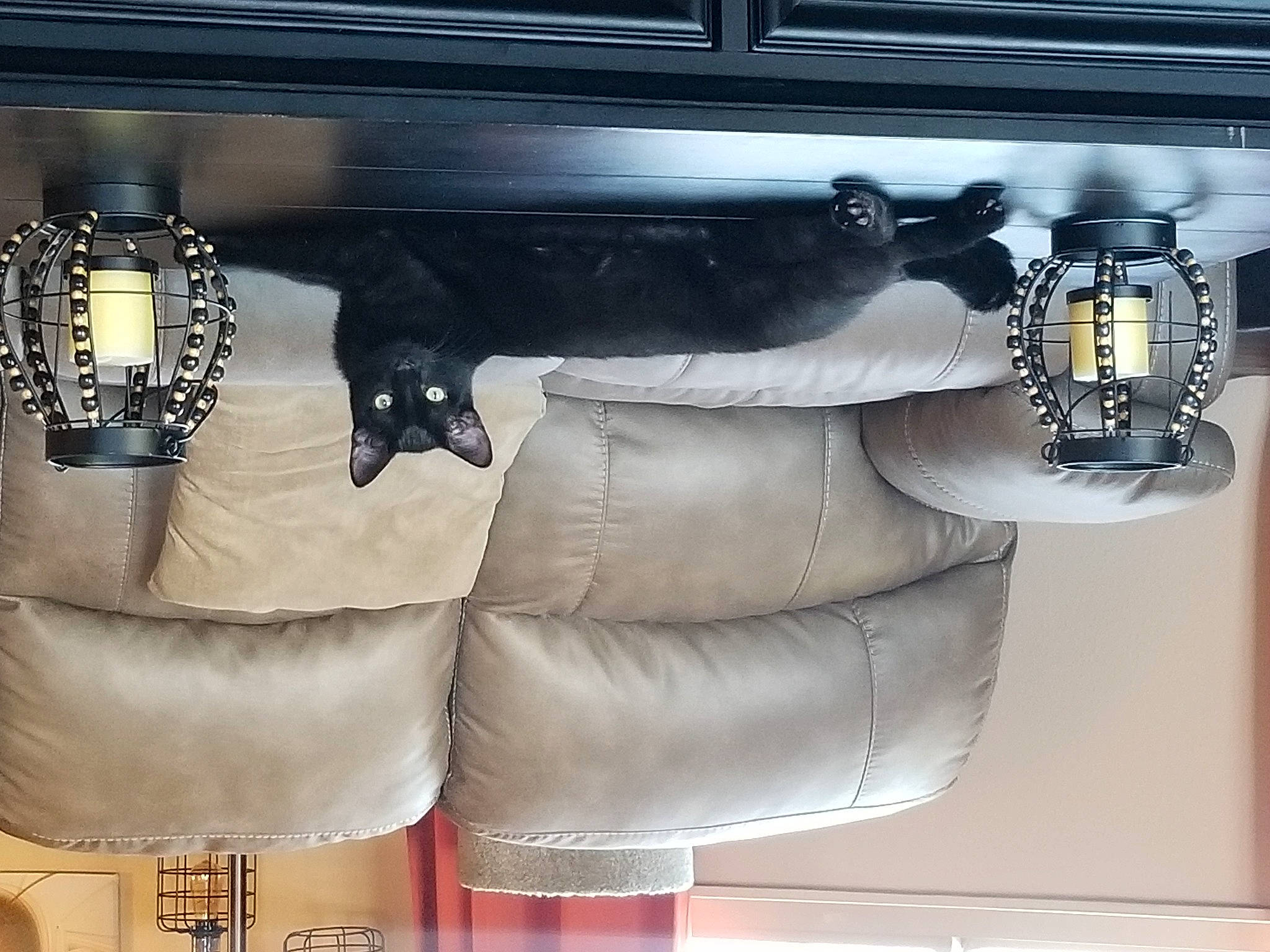 Davide is registered to the contest to win money with this photo: auto_part, automotive_design, automotive_exterior, brand, fashion_accessory, fashion_design, font, leather, luxury_vehicle, machine, metal, personal_luxury_car, personal_protective_equipment, rectangle, room, sleeve, tints_and_shades, vehicle