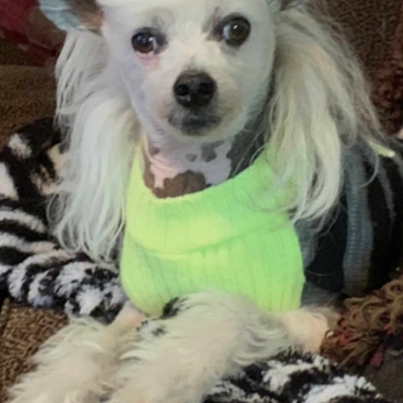 Armani