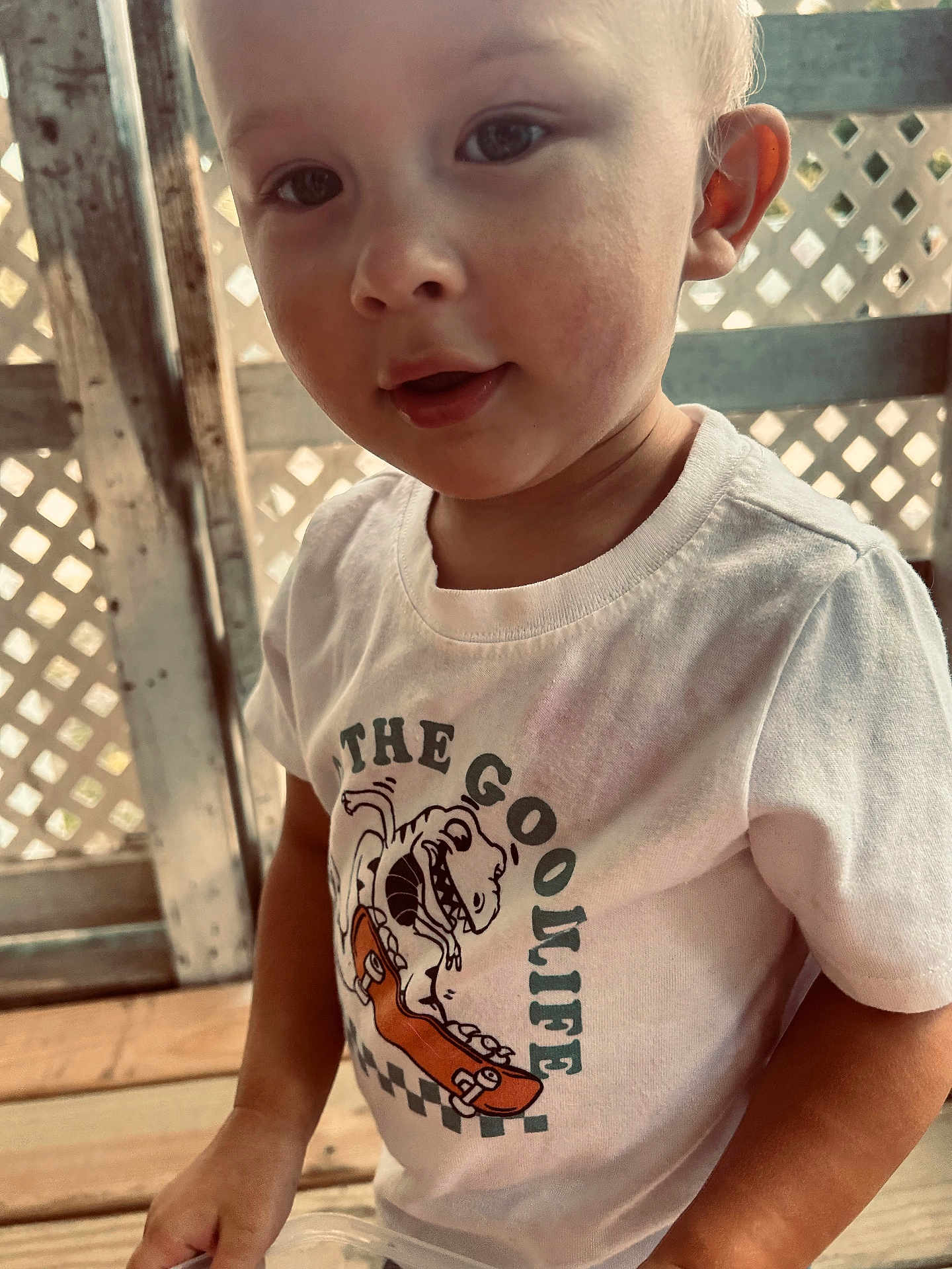 Weston is registered to the contest to win money with this photo: child, toddler, face, white_tshirt, graphic_tshirt, dinosaur, skateboard, text_on_clothing, curious_expression, closeup, wooden_background, lattice, natural_light, casual_clothing, person, young_child, indoor, cute, portrait, smile