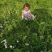 Alma a rejoint le concours — aidez-le/la à gagner de superbes lots ! toddler, child, grass, dandelions, daisies, flower, meadow, outdoor, sunlight, nature, greenery, dress, curly_hair, sitting, plants, summer, small_person, portrait, happy, daytime