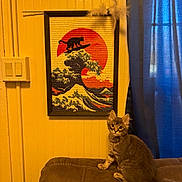 Grayson Lopez joined the competition — help win amazing prizes! cat, kitten, couch, yellow_wall, framed_art, wall_art, black_cat_silhouette, wave, sun, blue_curtain, indoor, furniture, pet, tabby, curious, sitting, brown_couch, decor, home, cozy