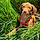 Vicky