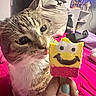 cat, ice_cream, hand, bed, plush_toy, nail_polish, curious, room, pink_bedspread, furniture, television, shelf, decorations, indoor, close_up, pet, food, smiling_face, colorful, playful