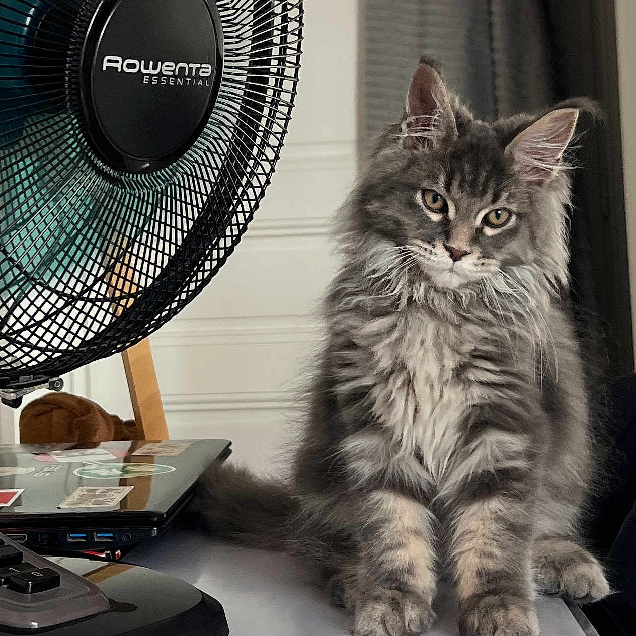 Milo
