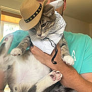 Milo joined the competition — help win amazing prizes! cat, person, hat, bandana, indoor, holding, cute, pet, feline, costume, portrait, smiling, casual_clothing, animal, domestic, funny, young_adult, face, paw, light