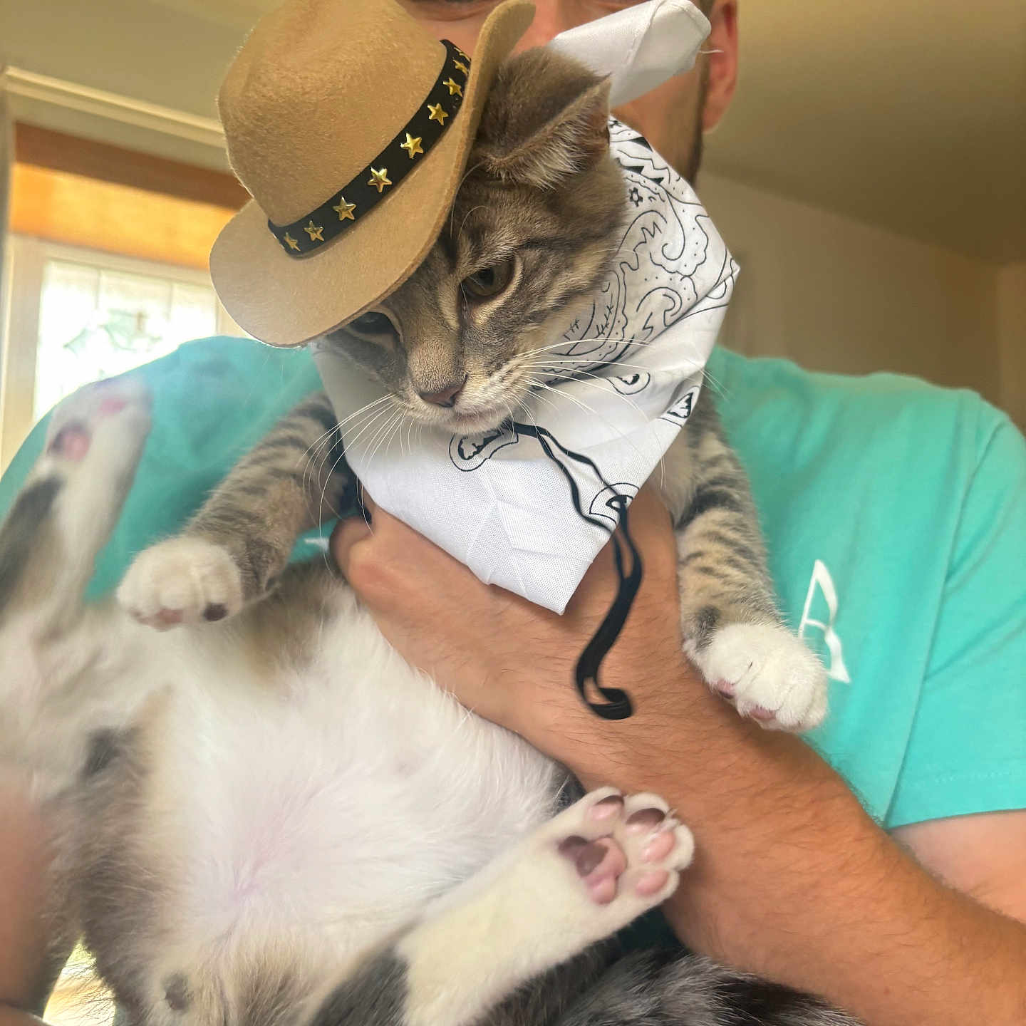Milo joined the competition — help win amazing prizes! animal, bandana, casual_clothing, cat, costume, cute, domestic, face, feline, funny, hat, holding, indoor, light, paw, person, pet, portrait, smiling, young_adult