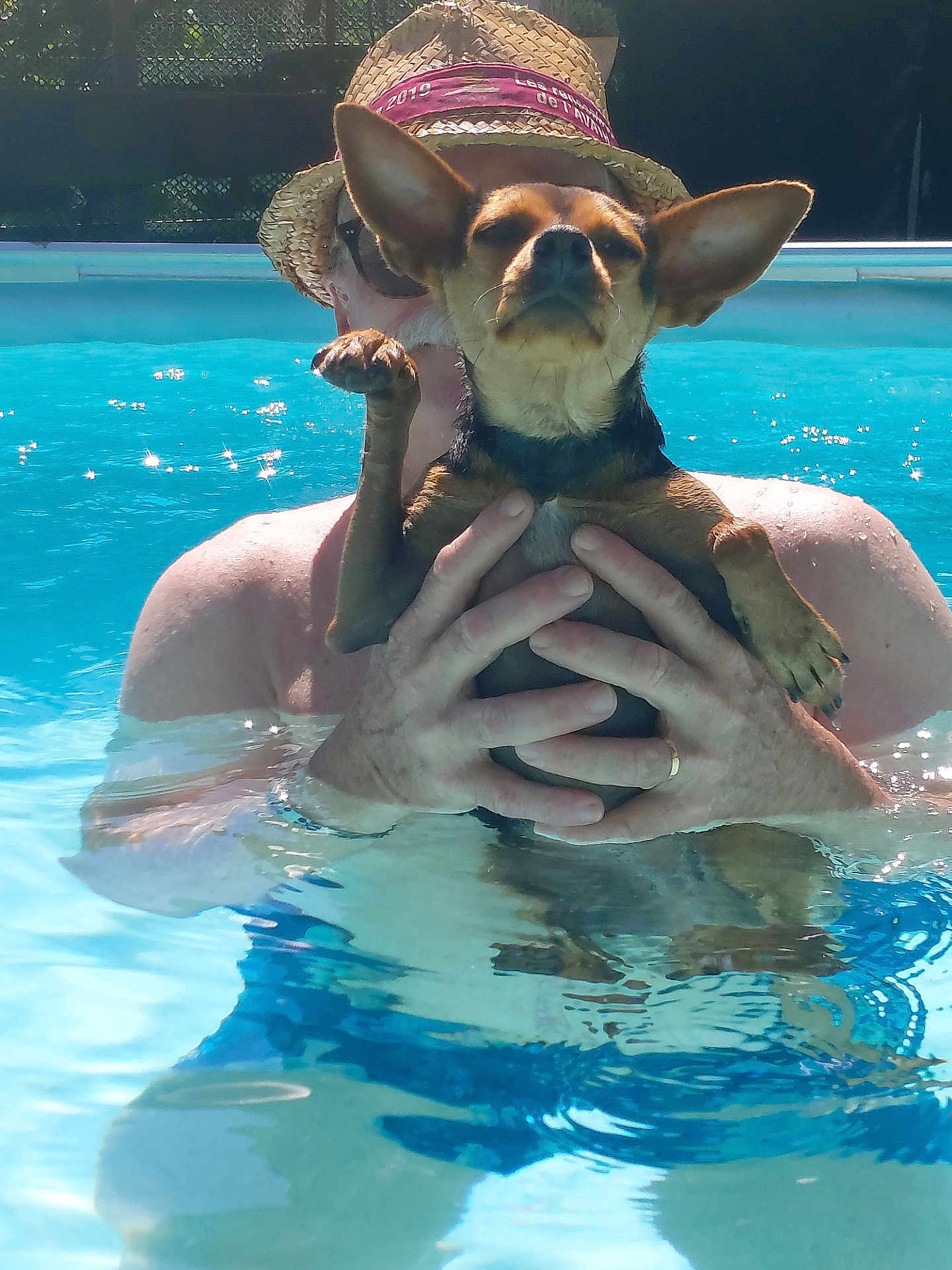 Yaya participe au concours pour gagner de l'argent avec cette photo : animal, canine, dog, fun, hat, holding, leisure, man, outdoor, person, pet, relaxation, small_dog, summer, summer_fun, sunglasses, sunlight, swimming, swimming_pool, water