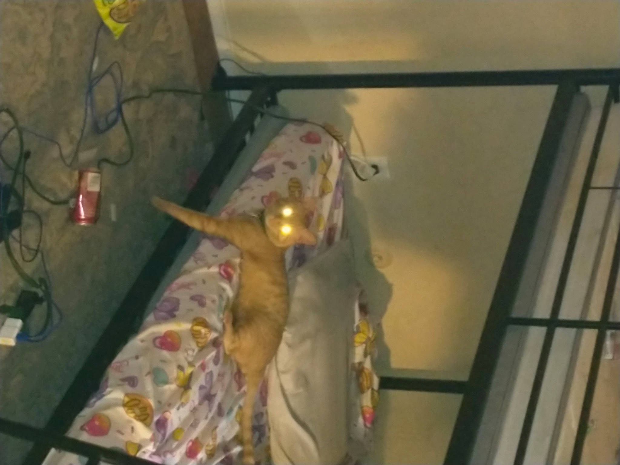 Red is registered to the contest to win money with this photo: aerospace_engineering, ceiling, fun, fur, metal, room, skeleton, tourist_attraction, visual_arts, yellow